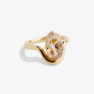 AMEA 3.01 RING