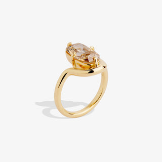 AMEA 3.01 RING