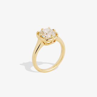 NEA 3.11 RING