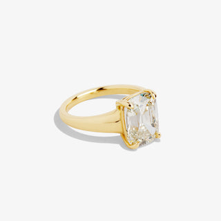 INES 4.22 RING