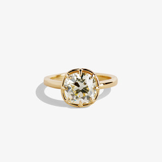 HERA 2.60 RING