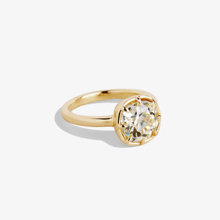 HERA 2.60 RING