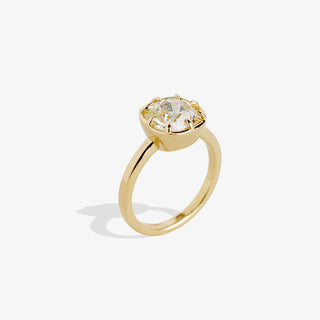 HERA 2.60 RING