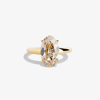 NOMA 3.04 Ring
