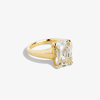 INES 4.23 RING