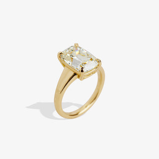 INES 4.23 RING