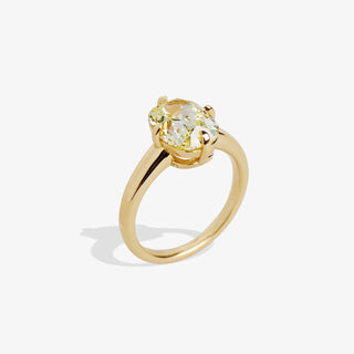 RIO 3.02 RING