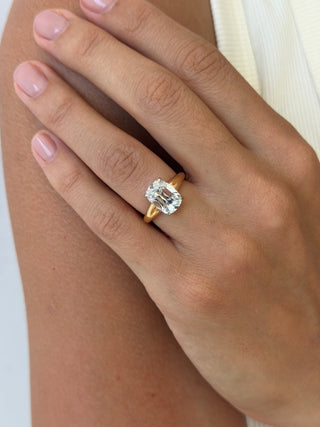INES 3.07 RING