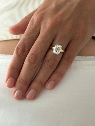INES 3.07 RING