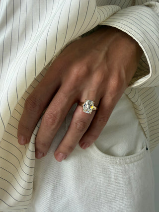 INES 4.23 RING