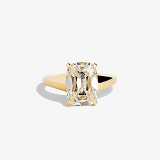 INES 4.23 RING